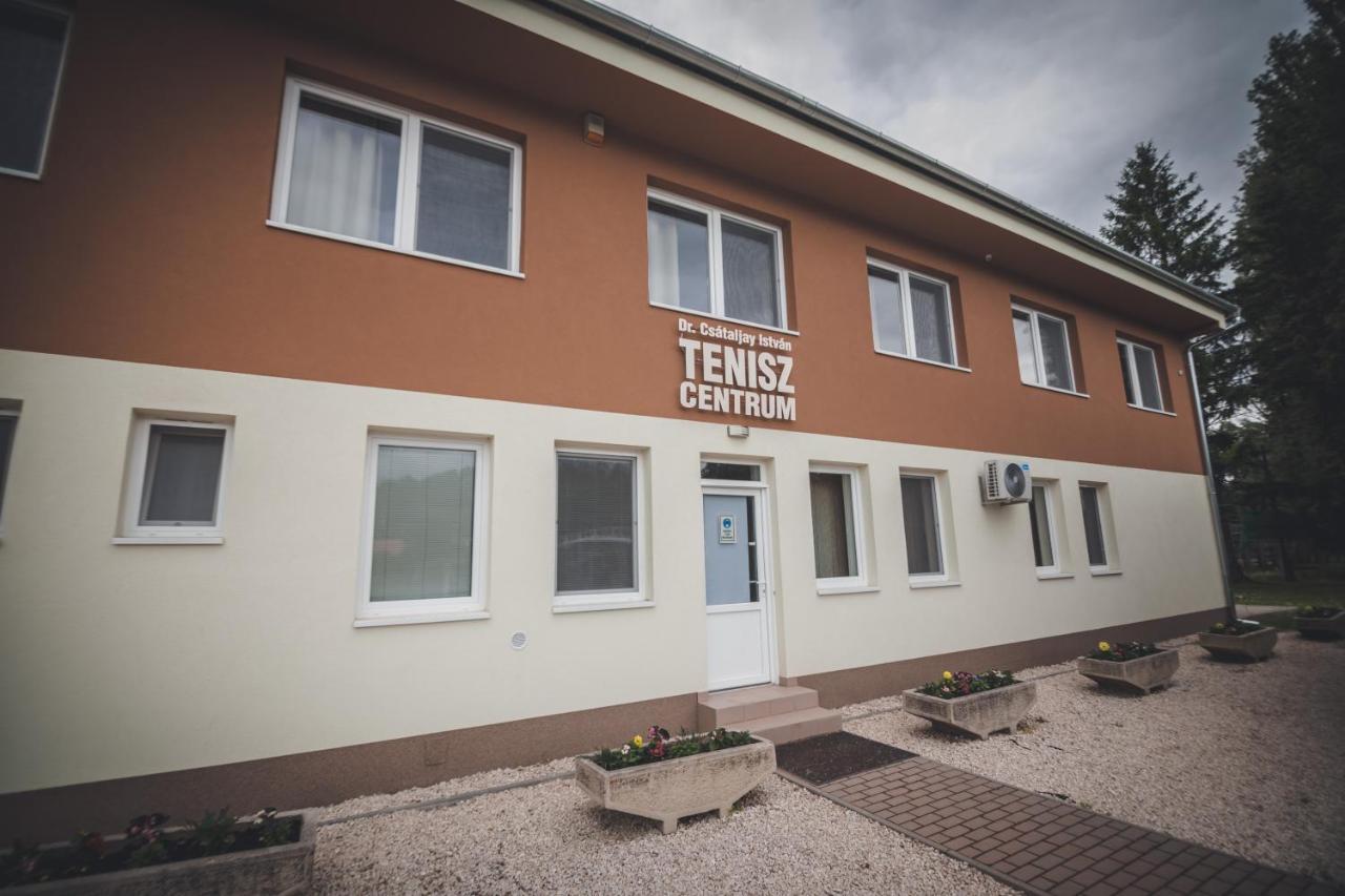 Tenisz Panzio - Baja Bagian luar foto